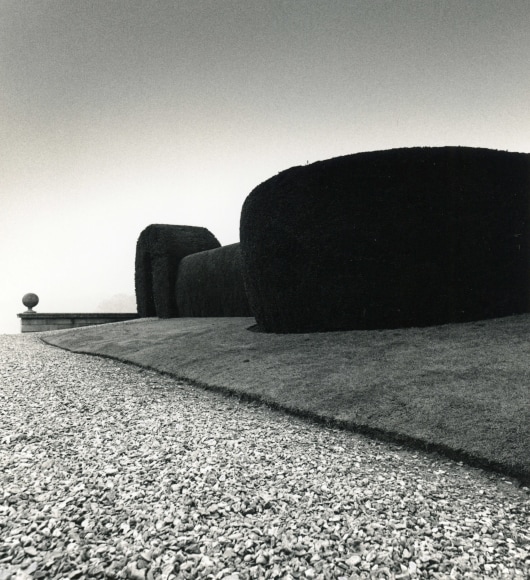 Bowood Garden, Study 3, Wiltshire, England, 1987
