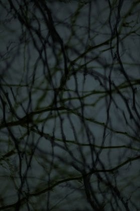 Dusk #55, 2005