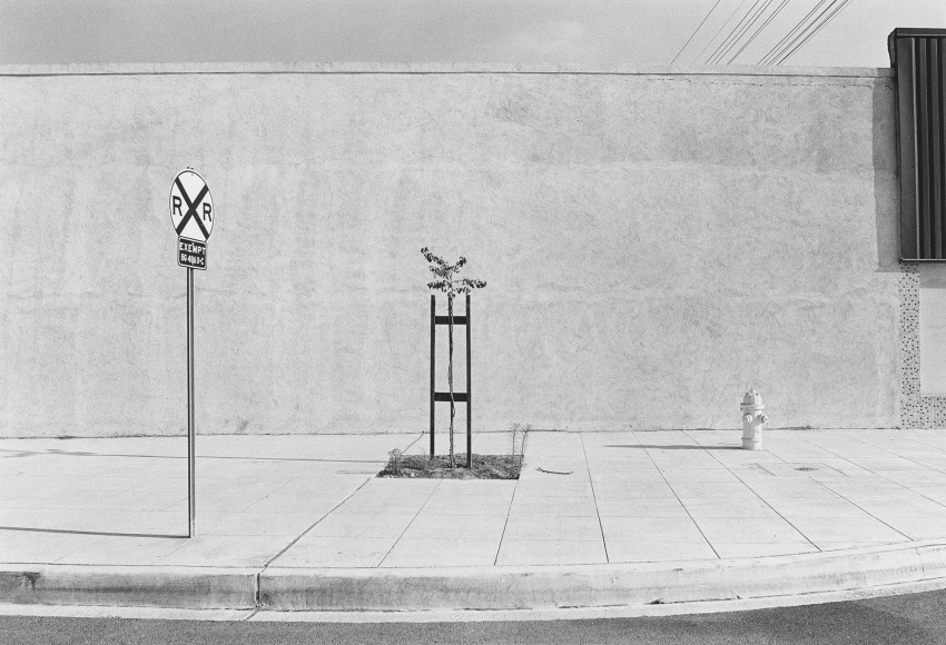 Los Angeles, 1976