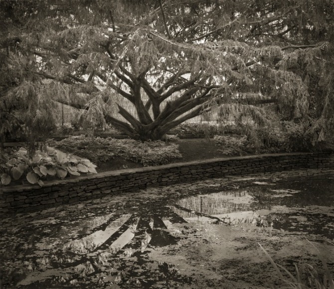 Dye Pool, The Courts, from the series In the Garden