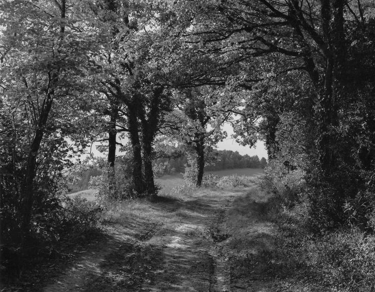 Saizy, France #6, 2014, gelatin silver print