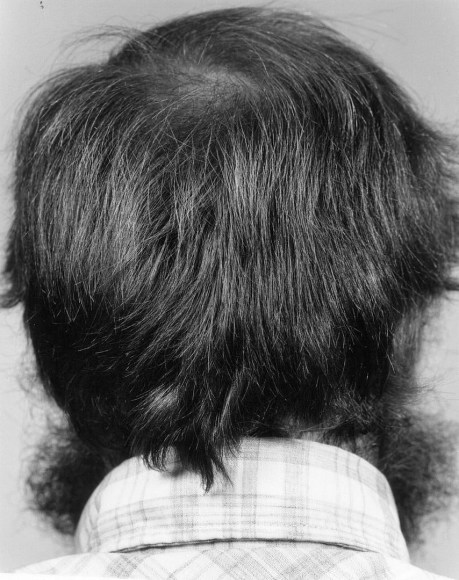untitled, from Hair Piece ("Every Force Has Its Form" - Shaker Saying)