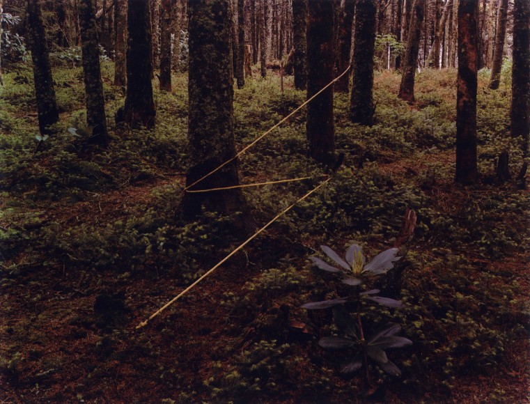 Roan Mountian Lightning, Roan Mountian, North Carolina, 1977, from Altered Landscapes