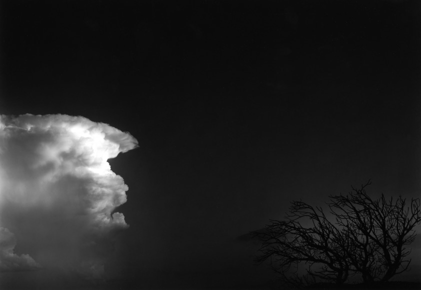 San Sabastian, New Mexico, 1980, gelatin silver print