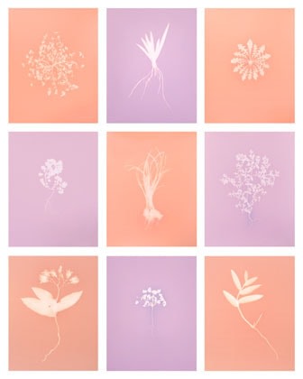 Tracing Shadow (grid)