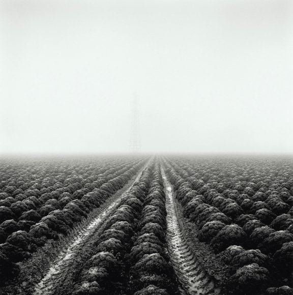 Station Farm, from the series Drained, 2017