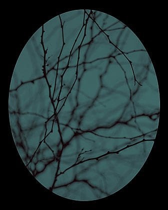 Dusk #19, 2003