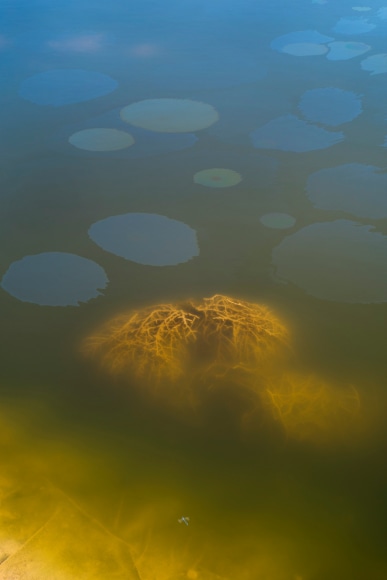 Fracking Pond: Midland, Texas. , from the series, Beneath the Dirt of Great Men