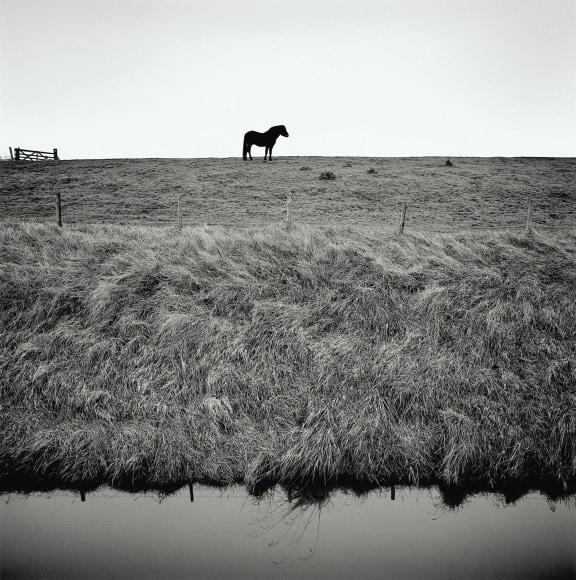 Sea Bank, from the series Drained, 2016