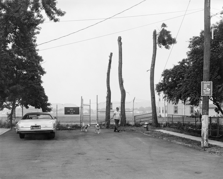 Man Walking Dalmations, 1983-84