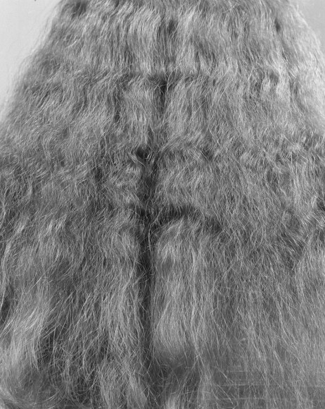untitled, from Hair Piece ("Every Force Has Its Form" - Shaker Saying)