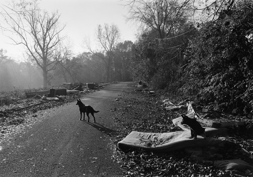 Athens, Georgia, 1995