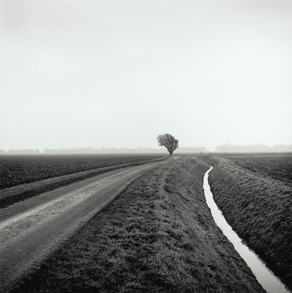 Hurn's End, from the series Drained, 2016