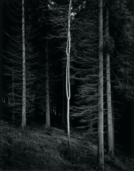 Alien, from the series Truncated, 2007