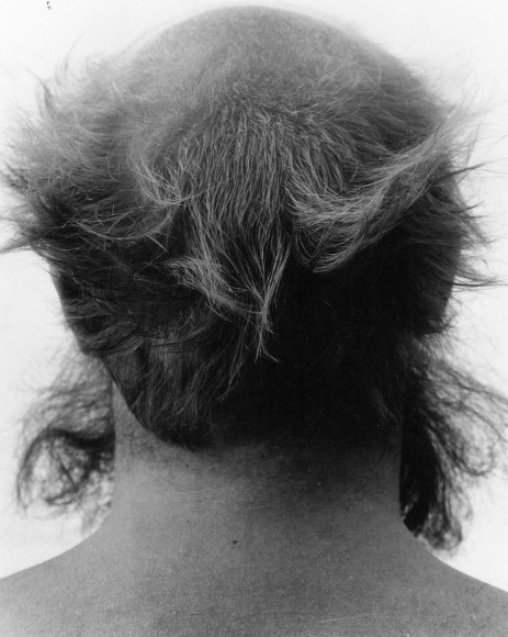 untitled, from Hair Piece ("Every Force Has Its Form" - Shaker Saying)