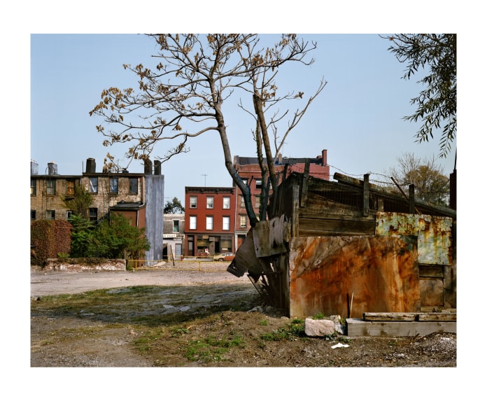 Vinegar Hill Tree, 1985, digital chromogenic print