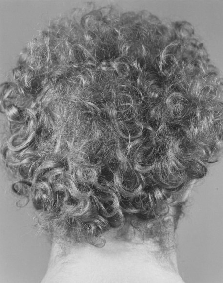untitled, from Hair Piece ("Every Force Has Its Form" - Shaker Saying)