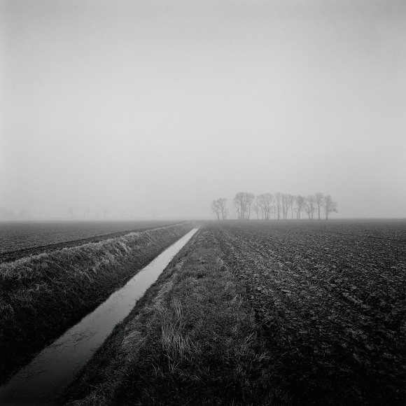 Windy Corner, from the series, Farmed, 2013