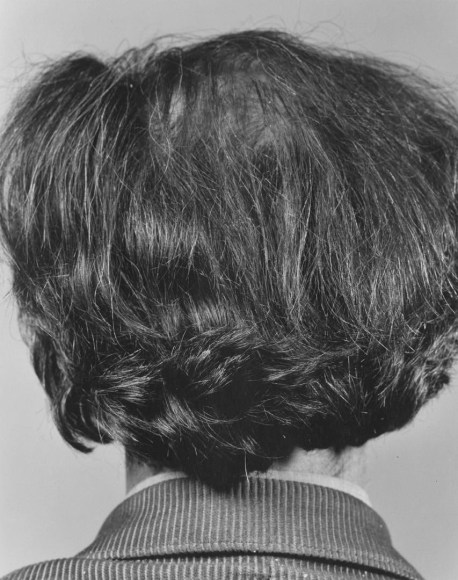 untitled, from Hair Piece ("Every Force Has Its Form" - Shaker Saying)