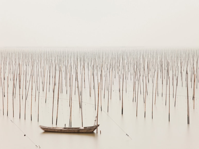 East China Sea
