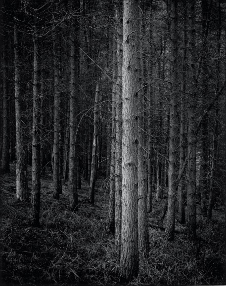 Bastion, from the series, Truncated, 2007