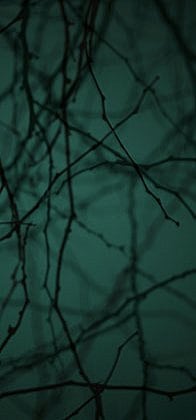 Dusk #5, 2003