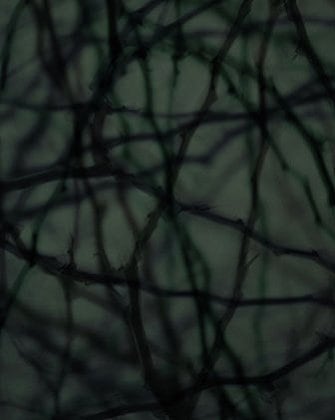 Dusk #56, 2005
