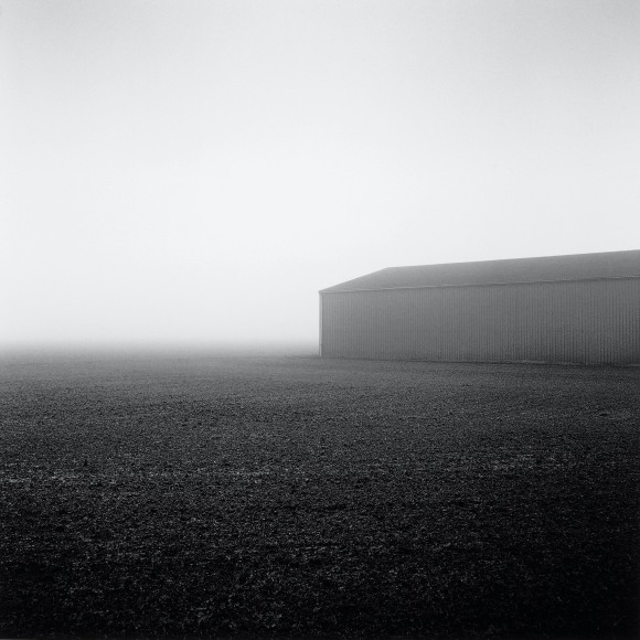 Caulton's Farm, From the series, Farmed, 2014