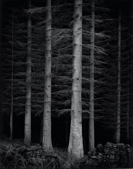 Guardian, from the series, Truncated, 2007
