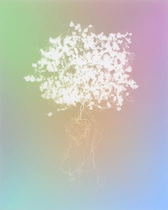 Tracing Shadow #36