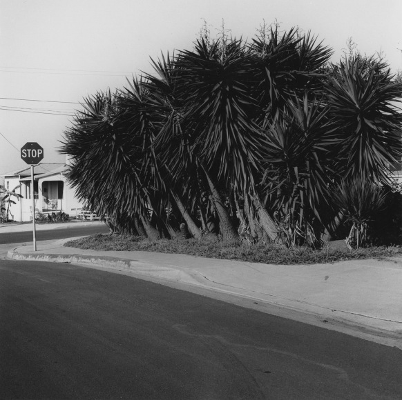 National City #2, 1978