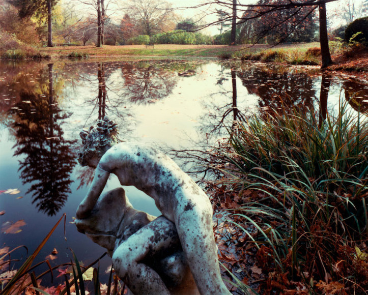 Old Westbury Garden, Old Westbury, NY, 1981