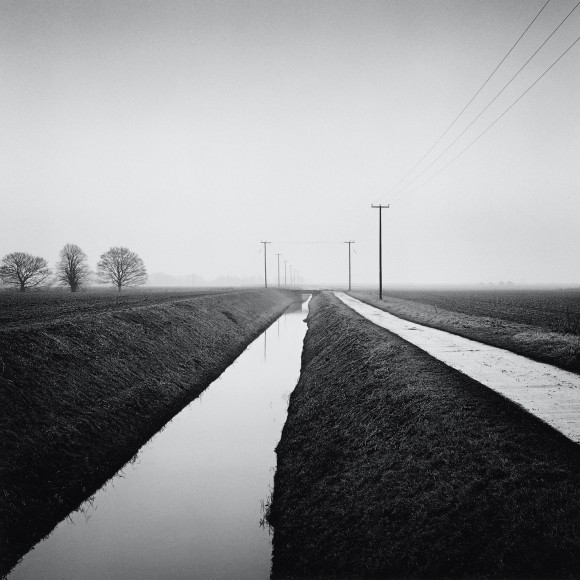 Holbeach St. Matthew, from the series, Farmed, 2010