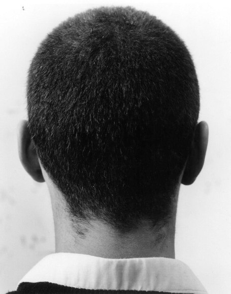untitled, from Hair Piece ("Every Force Has Its Form" - Shaker Saying)