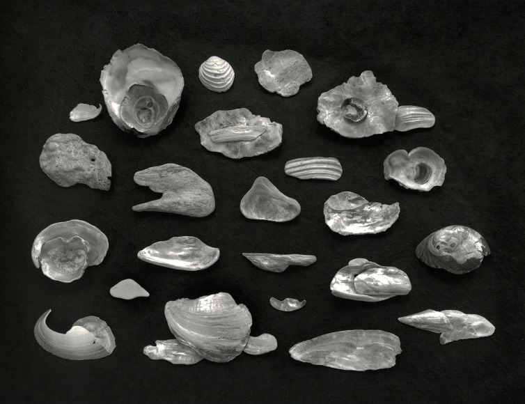 Cloud Study, Cushing Maine, 2004, gelatin silver print