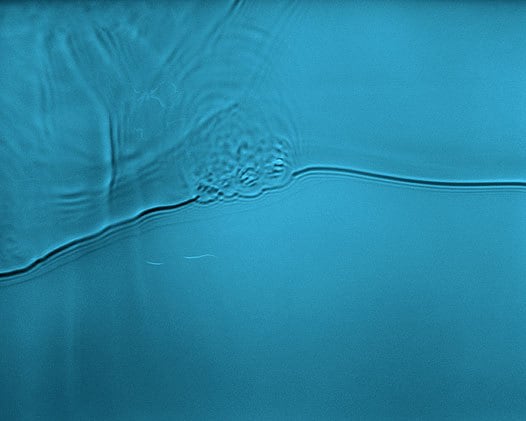 Flow #24, 2006