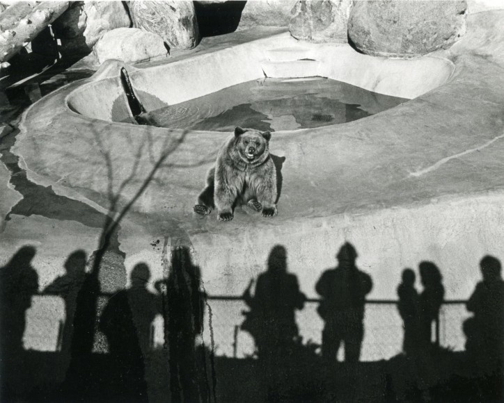 untitled (from the Los Angeles series), 1971