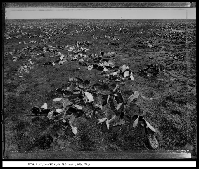After a 300,000-Acre Range Fire, Near Albany, Texas, 1988, vintage gelatin silver print