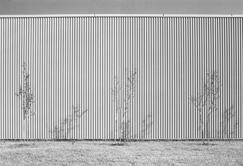 Houston, 1975 vintage gelatin silver print