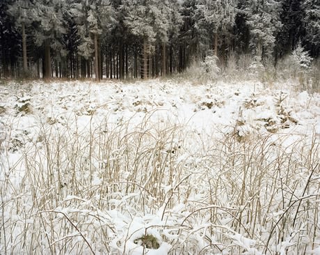 H&uuml;rtgenwald 1944, Wilde Sau, 2010