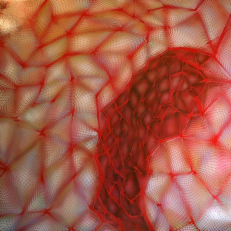 Split, 2006 48 x 48 inches&nbsp;