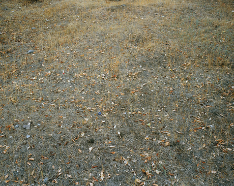 Stalingrad 1942, Red Oktober, 2008