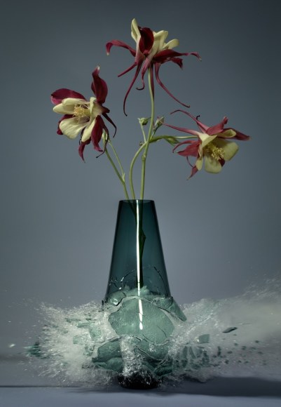 Martin Klimas, Aquilegia, 2016