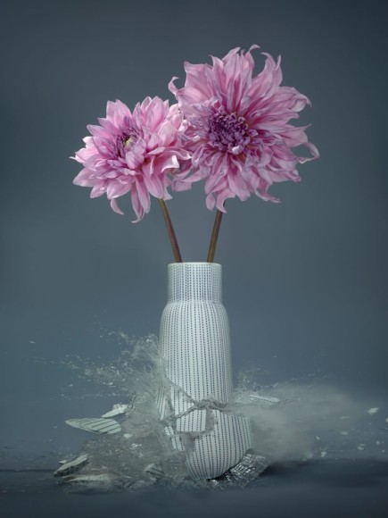 Martin Klimas, Dahlia VII, 2019