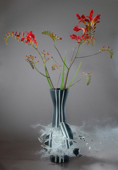 Martin Klimas, Crocosmia, 2008