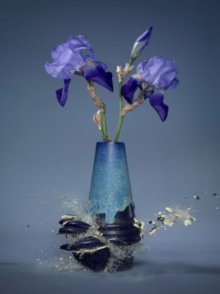 Martin Klimas, Iris, 2019