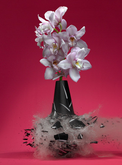 Untitled (Orchidaceae II), 2007