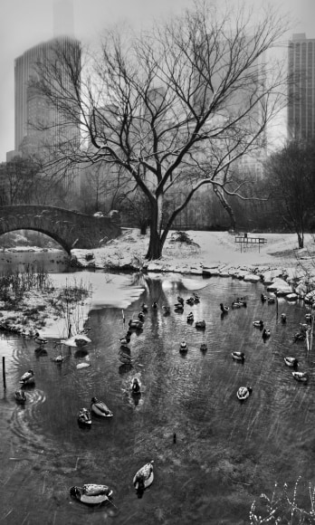 Jeff Chien-Hsing Liao, Great Snow, 2015
