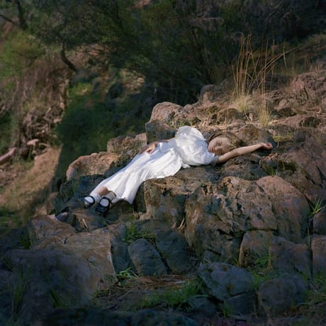 In the Keilor Plains 1895 #2, 2006