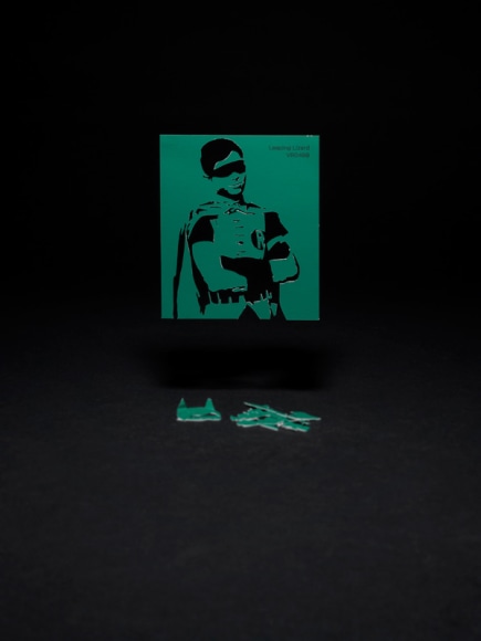 Thomas Allen, VR049B (LEAPING LIZARD), 2015